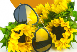 eyewear trends